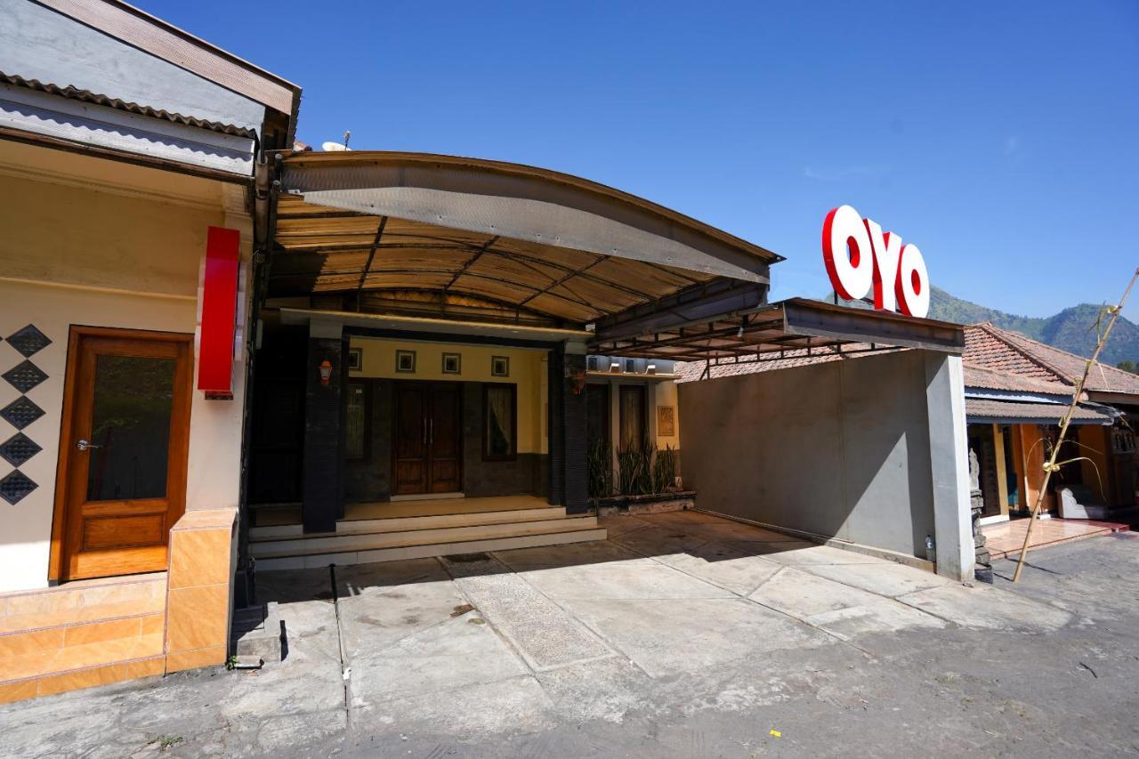 Oyo 1087 Homestay Potato House Бромо Экстерьер фото